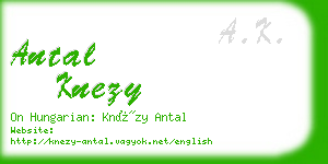 antal knezy business card